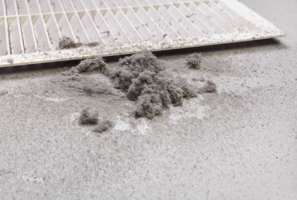 Best Local Air Duct Cleaning Services  in Newk, AR