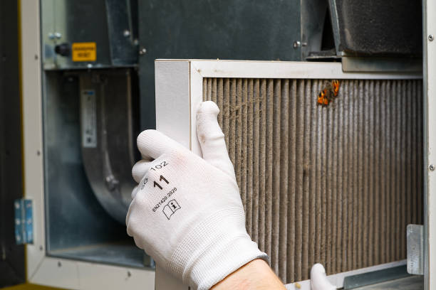 Best Air Vent Cleaning Services  in Newk, AR
