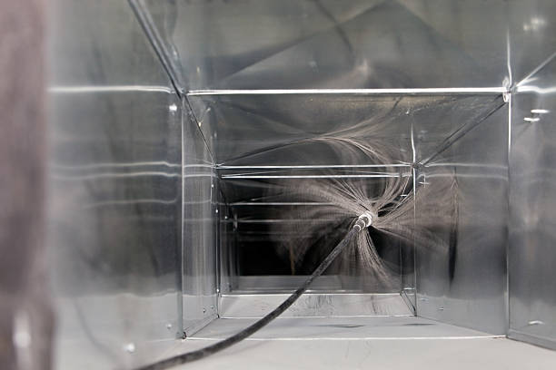 Best Dryer Vent Cleaning Services  in Newk, AR